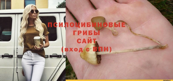 прущие крисы Вяземский