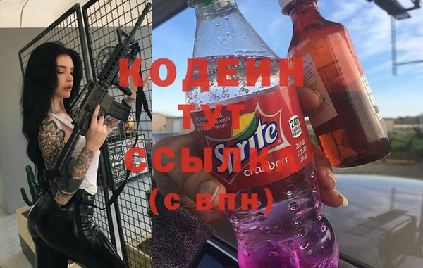 соль ск Бердск