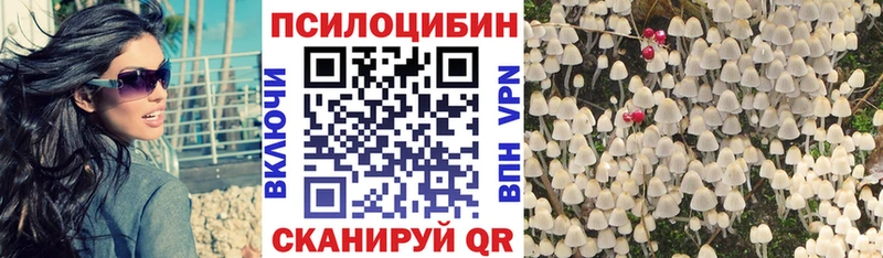 Псилоцибиновые грибы мухоморы  где купить наркотик  Геленджик 
