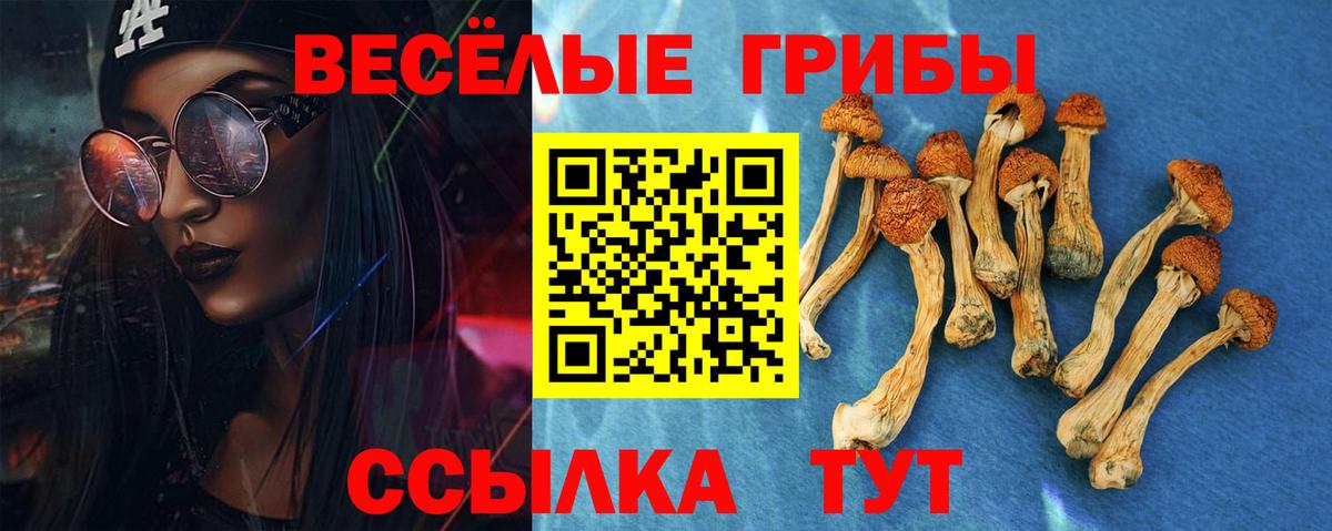 Геленджик  Галлюциногенные грибы MAGIC MUSHROOMS  Вход с VPN  Галлюциногенные грибы MAGIC MUSHROOMS 